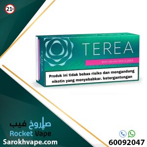 Terea Black Green 200 Cigs